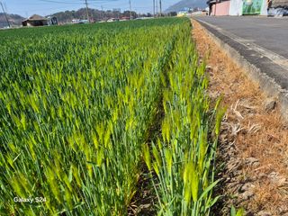 사천시향촌동 돼지띠님의 자유주제 · 자유게시판 작성글 사진