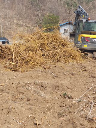 안비님의 자유주제 · 자유게시판 작성글 사진