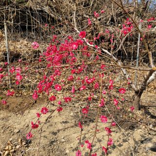 이창화님의 자유주제 · 자유게시판 작성글 사진