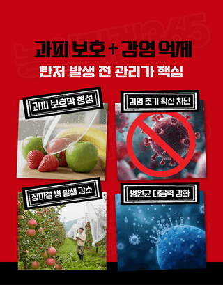 농업마켓365님의 작성글 사진