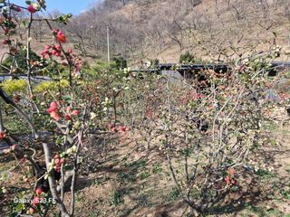 김재열님의 자유주제 · 자유게시판 작성글 사진