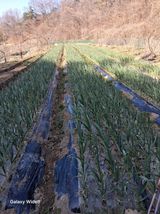 팜모닝 자유주제·자유게시판 게시글 이미지