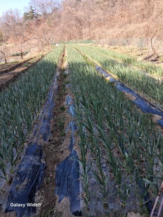 윤종경님의 자유주제 · 자유게시판 작성글 사진