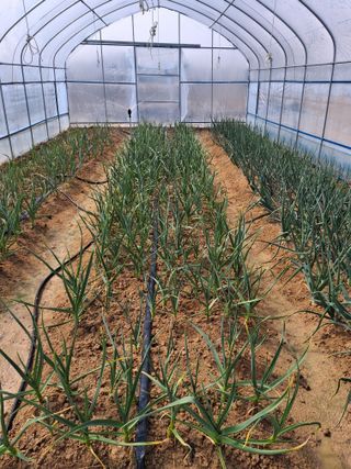 마에스타님의 자유주제 · 자유게시판 작성글 사진