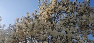 구춘봉님의 자유주제 · 자유게시판 작성글 사진