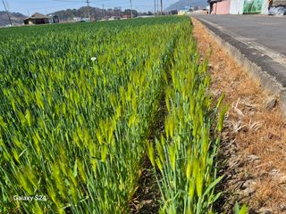 사천시향촌동 돼지띠님의 자유주제 · 자유게시판 작성글 사진