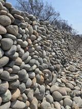 허투루님의 자유주제·자유게시판 작성글 사진