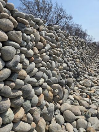 허투루님의 자유주제 · 자유게시판 작성글 사진