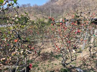 김재열님의 자유주제 · 자유게시판 작성글 사진