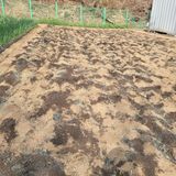 팜모닝 자유주제·자유게시판 게시글 이미지