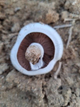 마에스타님의 자유주제 · 자유게시판 작성글 사진