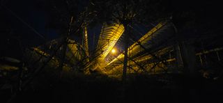 달맛햇복숭아농원님의 자유주제 · 자유게시판 작성글 사진