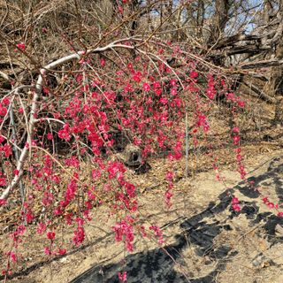 이창화님의 자유주제 · 자유게시판 작성글 사진