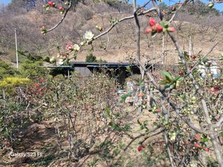 김재열님의 자유주제 · 자유게시판 작성글 사진