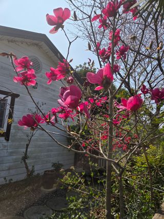 허투루님의 자유주제 · 자유게시판 작성글 사진