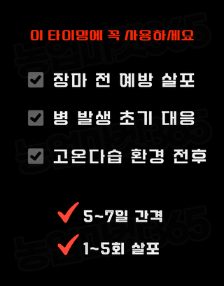 농업마켓365님의 작성글 사진
