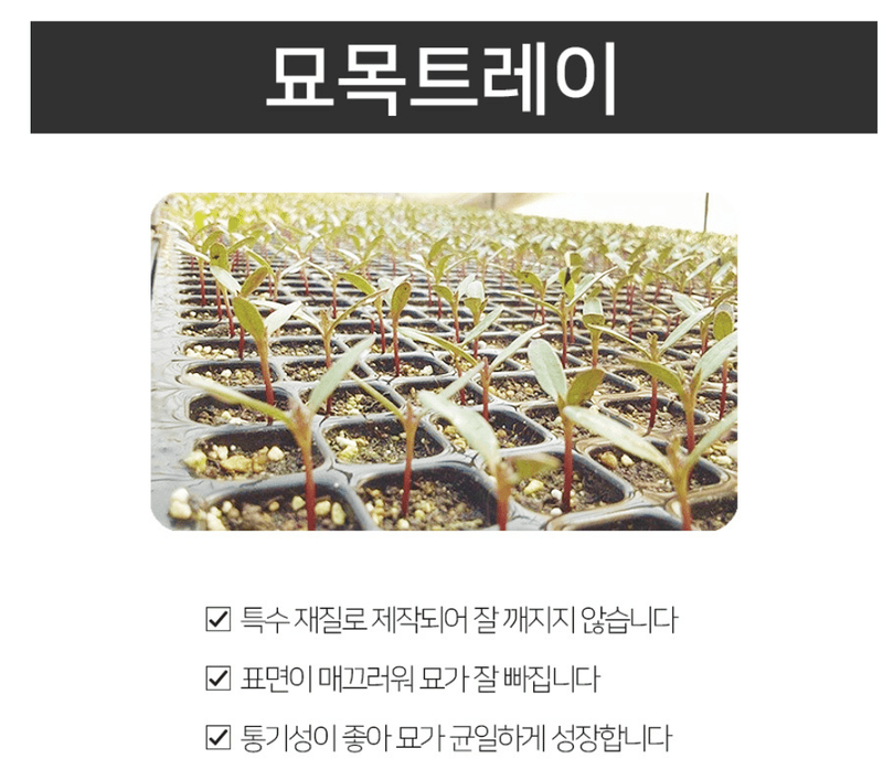 상인농자재님의 장터 판매 상품 [묘목트레이 모판 육묘트레이] 첨부 사진
