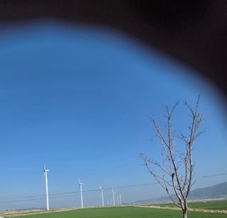 knlee님의 자유주제 · 자유게시판 작성글 사진