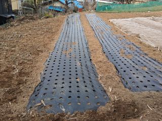 스마일김상호님의 자유주제·자유게시판 작성글 사진