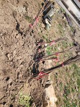 팜모닝 자유주제·자유게시판 게시글 이미지