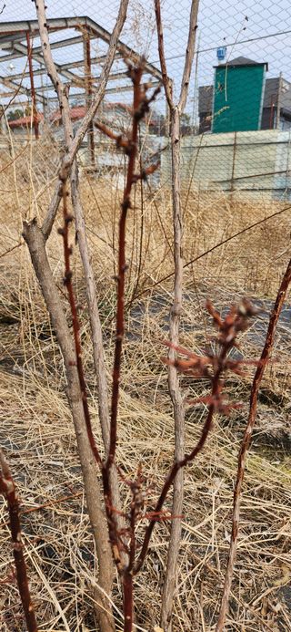 베리첼님의 자유주제 · 자유게시판 작성글 사진