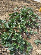 팜모닝 자유주제·자유게시판 게시글 이미지