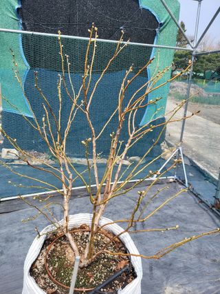 김경자님의 자유주제 · 자유게시판 작성글 사진