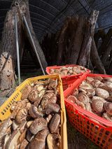 팜모닝 자유주제·자유게시판 게시글 이미지