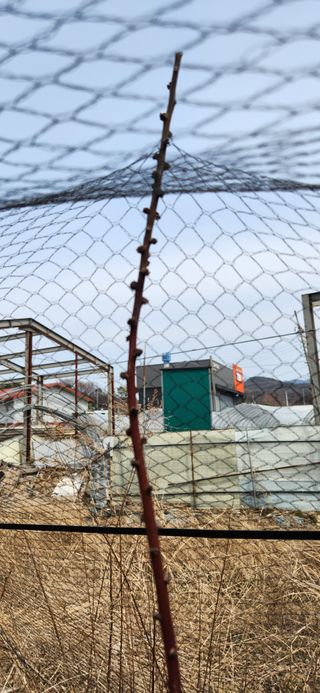 베리첼님의 자유주제 · 자유게시판 작성글 사진