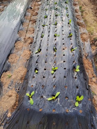 원빈님의 자유주제 · 자유게시판 작성글 사진