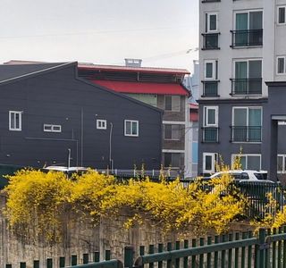 MSG0074님의 자유주제 · 자유게시판 작성글 사진