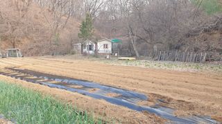 강윤원 보림팜(주)님의 자유주제 · 자유게시판 작성글 사진