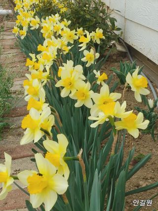 안길원님의 자유주제 · 자유게시판 작성글 사진