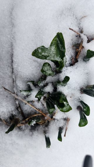 귀산촌님의 자유주제·자유게시판 작성글 사진