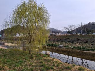 MSG0074님의 자유주제 · 자유게시판 작성글 사진