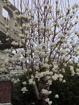 팜모닝 · 게시글 이미지