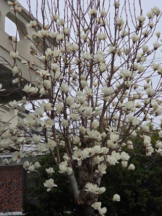 무형교회목사 안영진님의 작성글 사진