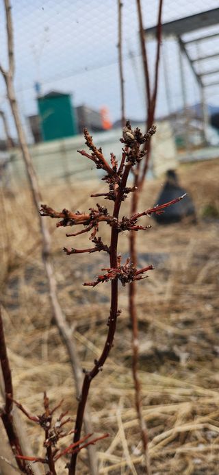 베리첼님의 자유주제 · 자유게시판 작성글 사진
