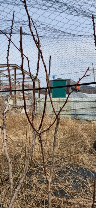 베리첼님의 자유주제 · 자유게시판 작성글 사진