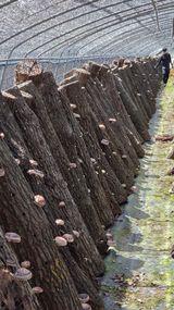 한밭농원님의 자유주제·자유게시판 작성글 사진