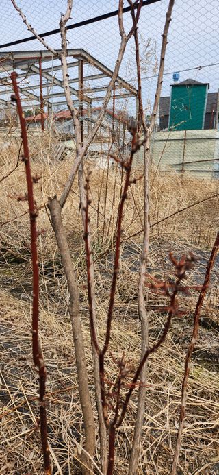 베리첼님의 자유주제 · 자유게시판 작성글 사진