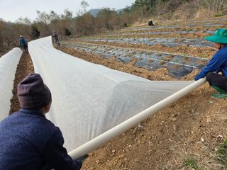 고추농사 정 미라님의 자유주제 · 자유게시판 작성글 사진