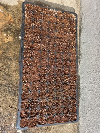 조위래님의 자유주제 · 자유게시판 작성글 사진