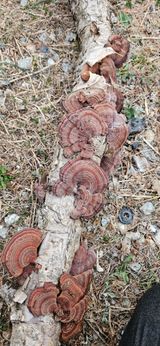 팜모닝 농사, 무엇이든 물어보세요!·참여글 게시글 이미지