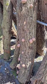 한밭농원님의 자유주제·자유게시판 작성글 사진