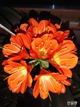 안길원님의 자유주제·자유게시판 작성글 사진