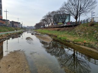 MSG0074님의 자유주제 · 자유게시판 작성글 사진