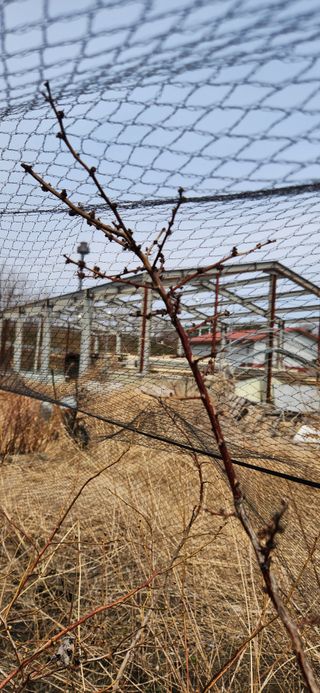 베리첼님의 자유주제 · 자유게시판 작성글 사진