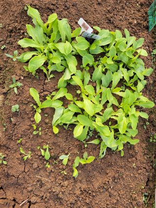 원빈님의 자유주제 · 자유게시판 작성글 사진