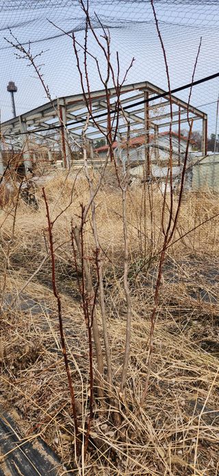베리첼님의 자유주제 · 자유게시판 작성글 사진